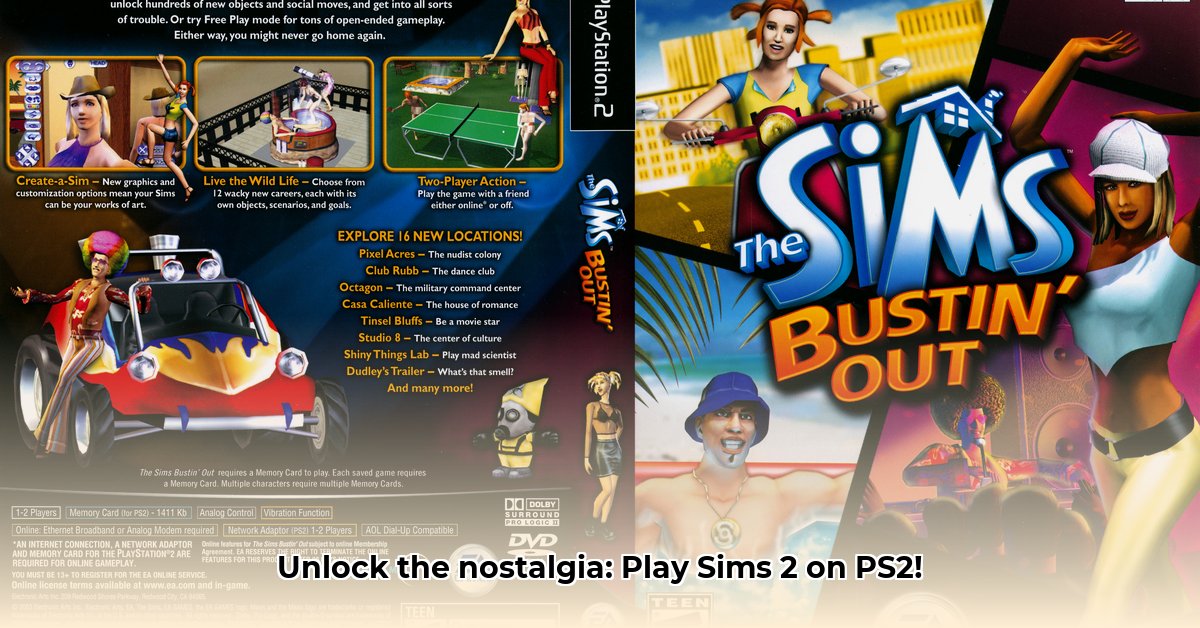 roms-ps2-the-sims
